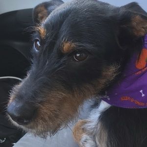 Meet your Posher, Steven